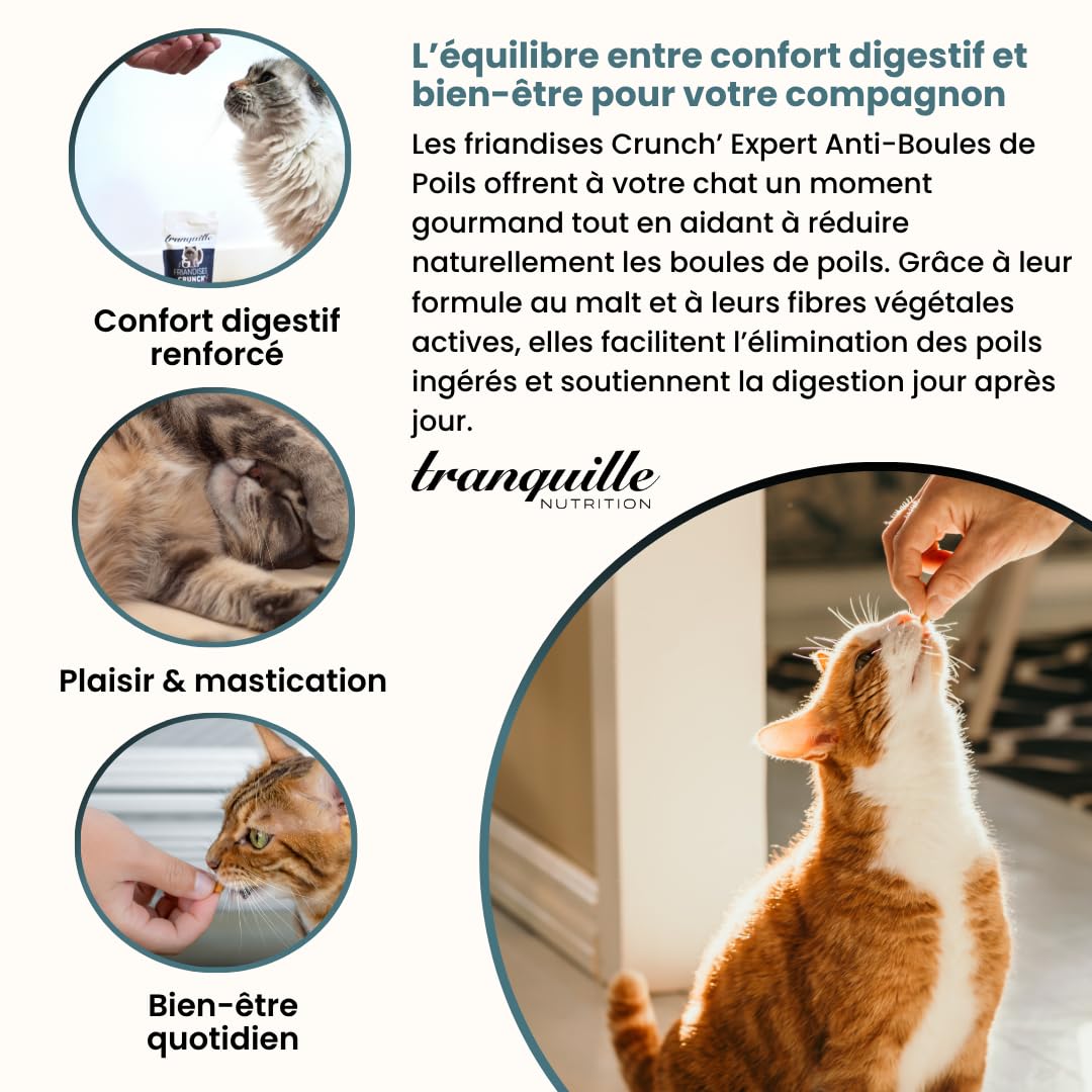 Tranquilo Crunch' Expert Anti Bola de Cerdas para Gato (Lote de 40 x 60 g) | Dulces de Malta y Fibras Vegetales | Croqueta Gato | Snack Preventivo Bienestar | con Pollo y sin Azúcares