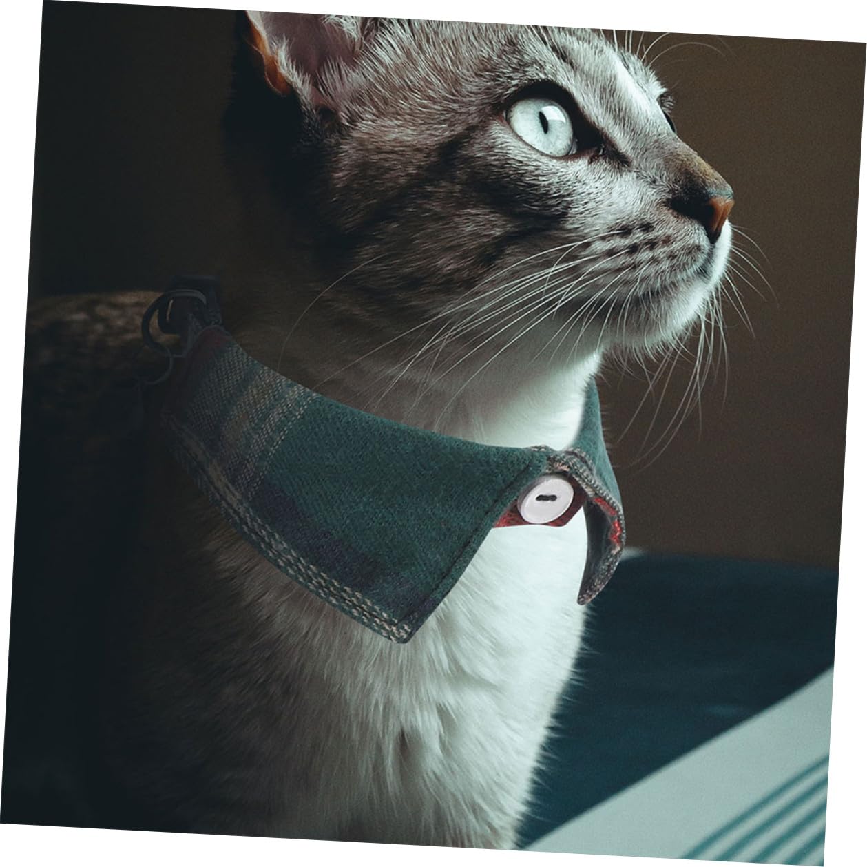 TOYANDONA 10 Pièces Collier pour Chat Ajustable avec Nœud et Clochette,