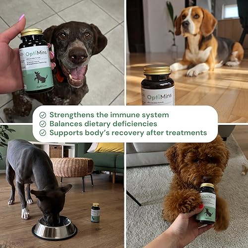 Miniatura 3 de OptiMins - Cápsulas de vitaminas y minerales para perros, nutrientes esenciales para la salud, vitalidad y apoyo inmunológico, multivitamínico,