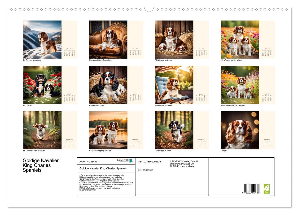 CALVENDO - Goldige Kavalier King Charles Spaniels (Wandkalender 2027 DIN A2 quer), Monatskalender: Freundlicher Familien- und Seniorenhund