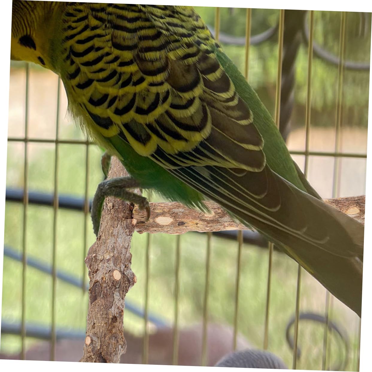 POPETPOP 6pièces Perchoir pour Oiseaux Naturel Jouet De Broyage pour Cage à Oiseaux Accessoires pour Perruches Et Perroquets