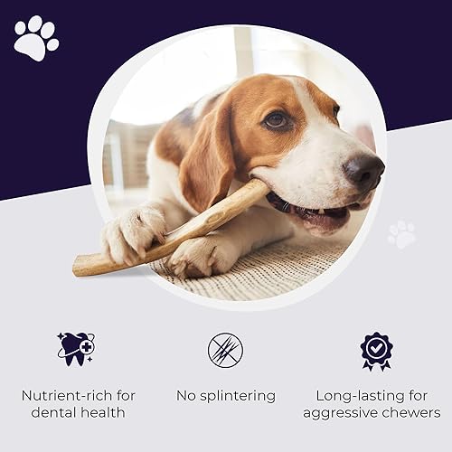 Miniatura 4 de Devil Dog Pet Co - Astas de alce masticables de primera calidad para perro, duraderas, para masticadores agresivos, no deja suciedad ni olor, de