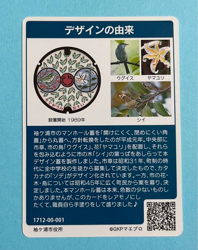 Amazon.co.jp: 001マンホールカード 千葉県袖ヶ浦市 : おもちゃ