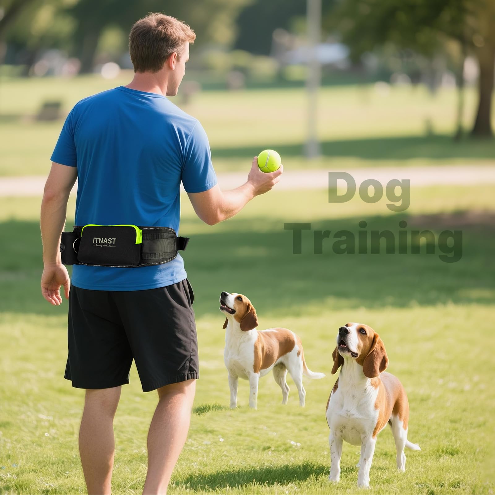 Correa de perro manos libres para 2 perros, correa elástica acolchada para correr con costuras reflectantes para caminar, trotar, correr, senderismo y entrenamiento de perros