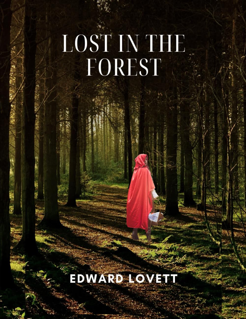 Lost in the Forest