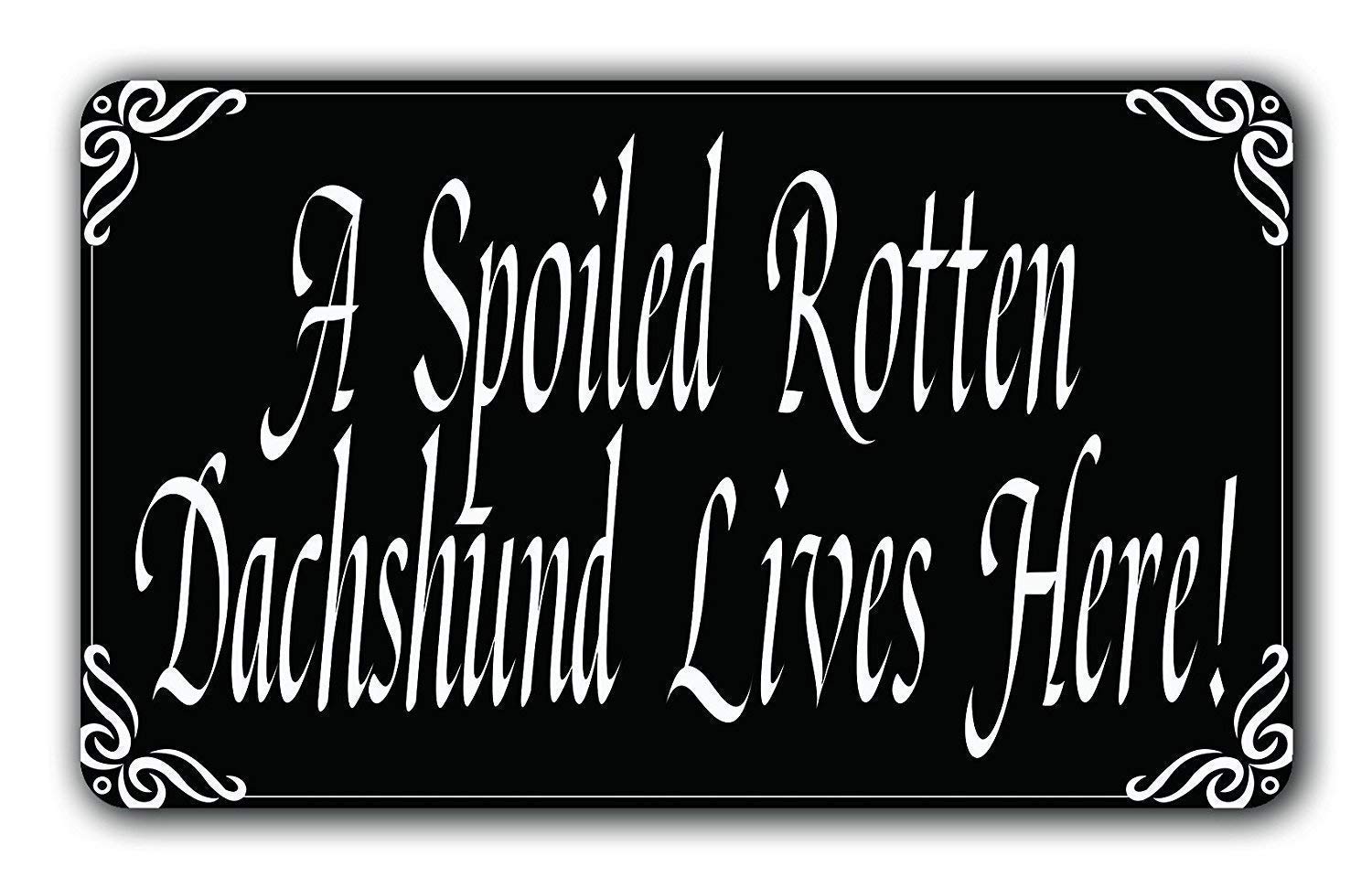 A Spoiled Rotten Dachshund Lives Here! Funny Door Mat Indoor/Outdoor Rubber Non Slip Doormat for Patio Front Door 23.6 x 15.7 inch