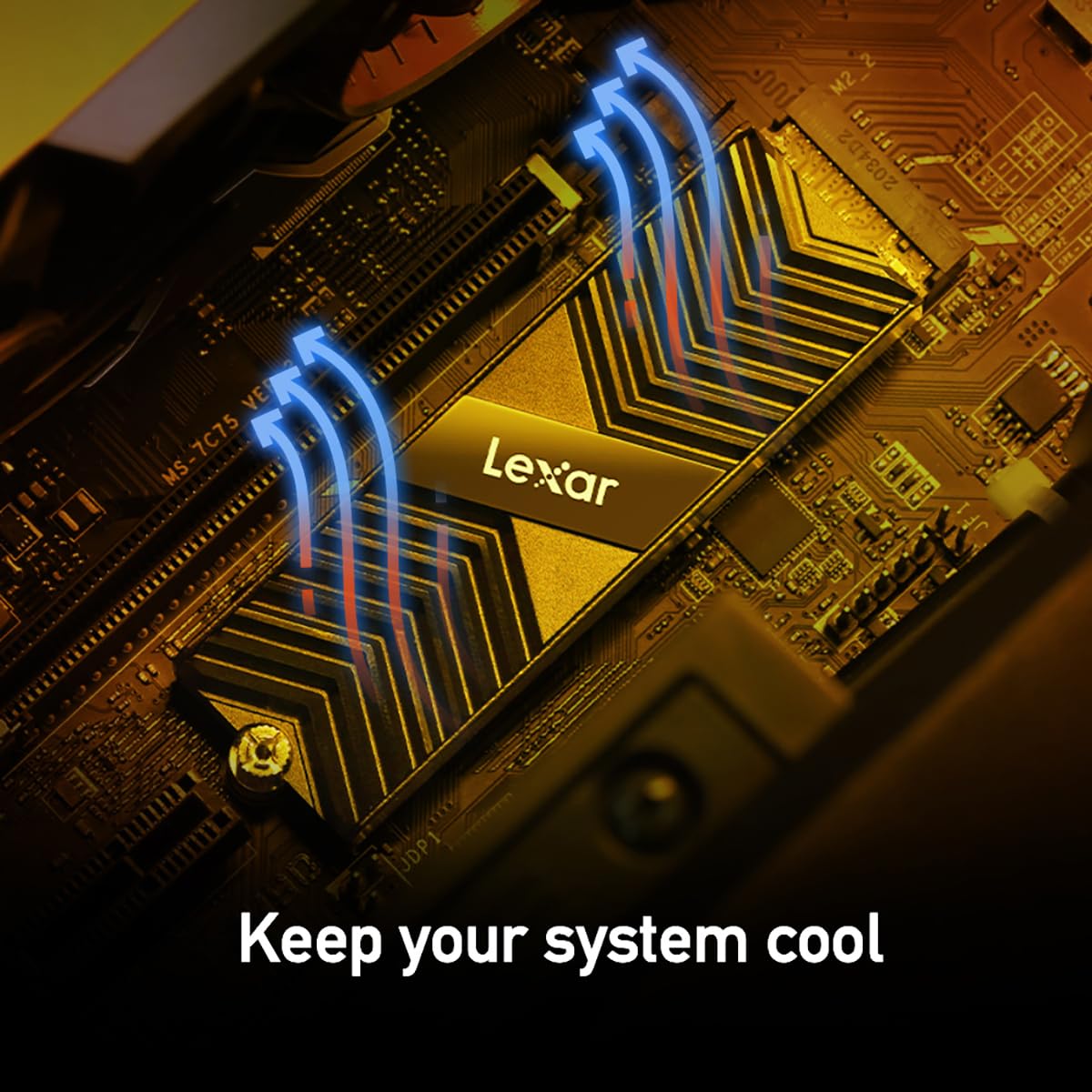 Lexar SSD profissional NM800 PRO de 1 TB com dissipador de calor