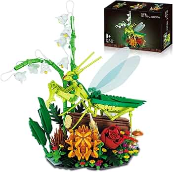 719Z0baveiL._AC_UF350,