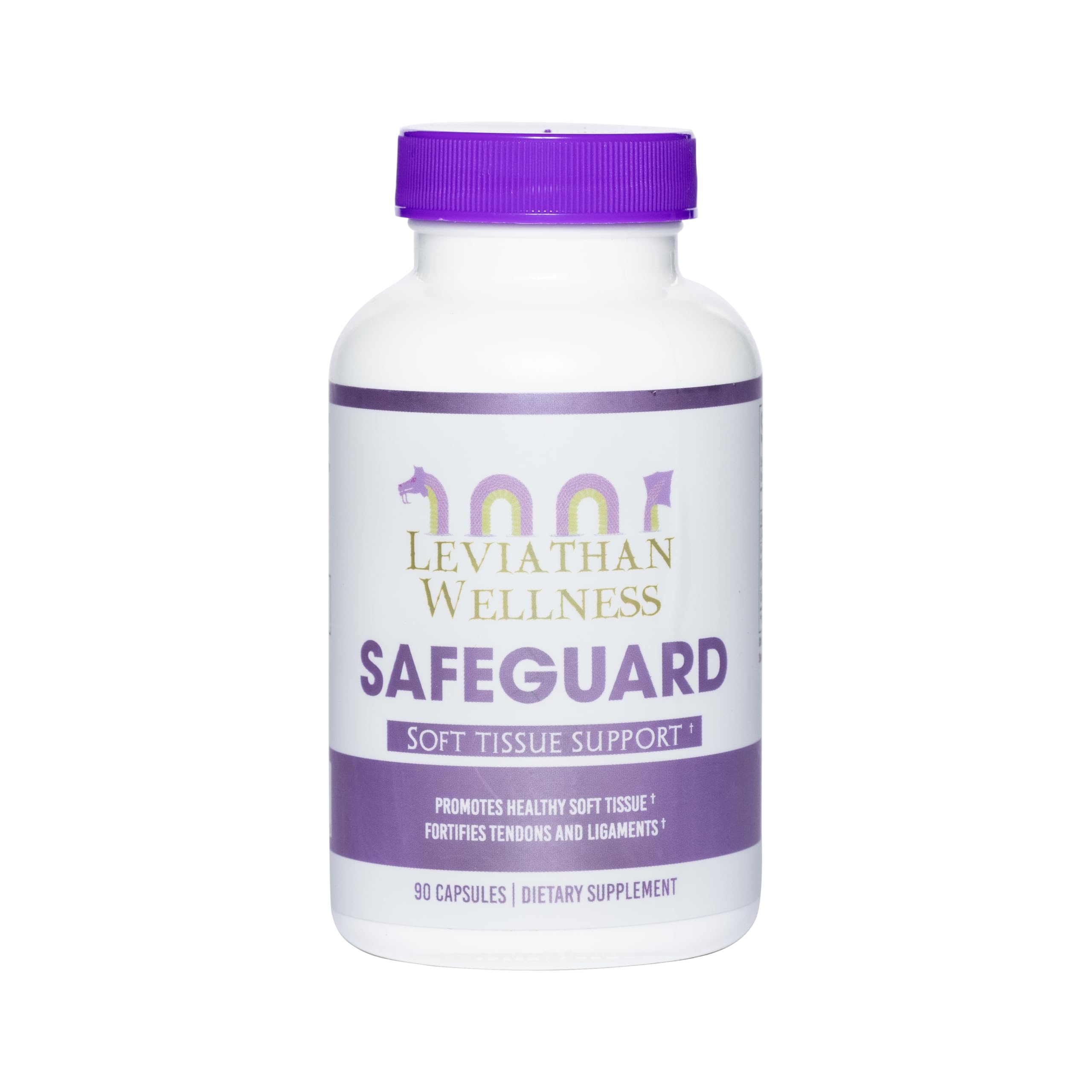 Safeguard - Joint and Soft Tissue Support