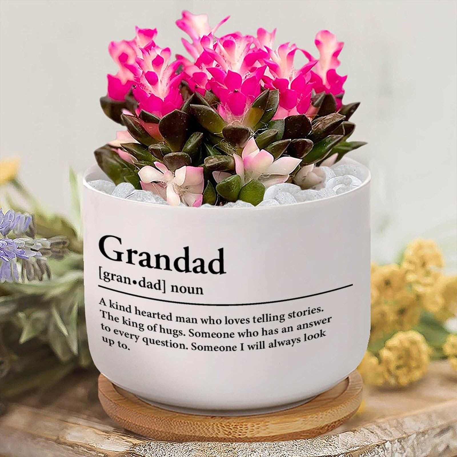 Grandad Definition Ceramic Planters Grandad Plant Live Indoor with Pot with Drainage Holes And Saucers Orchid Pot for Garden Home Decoration New Home Gift