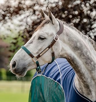 Horseware Signature Braided Halter