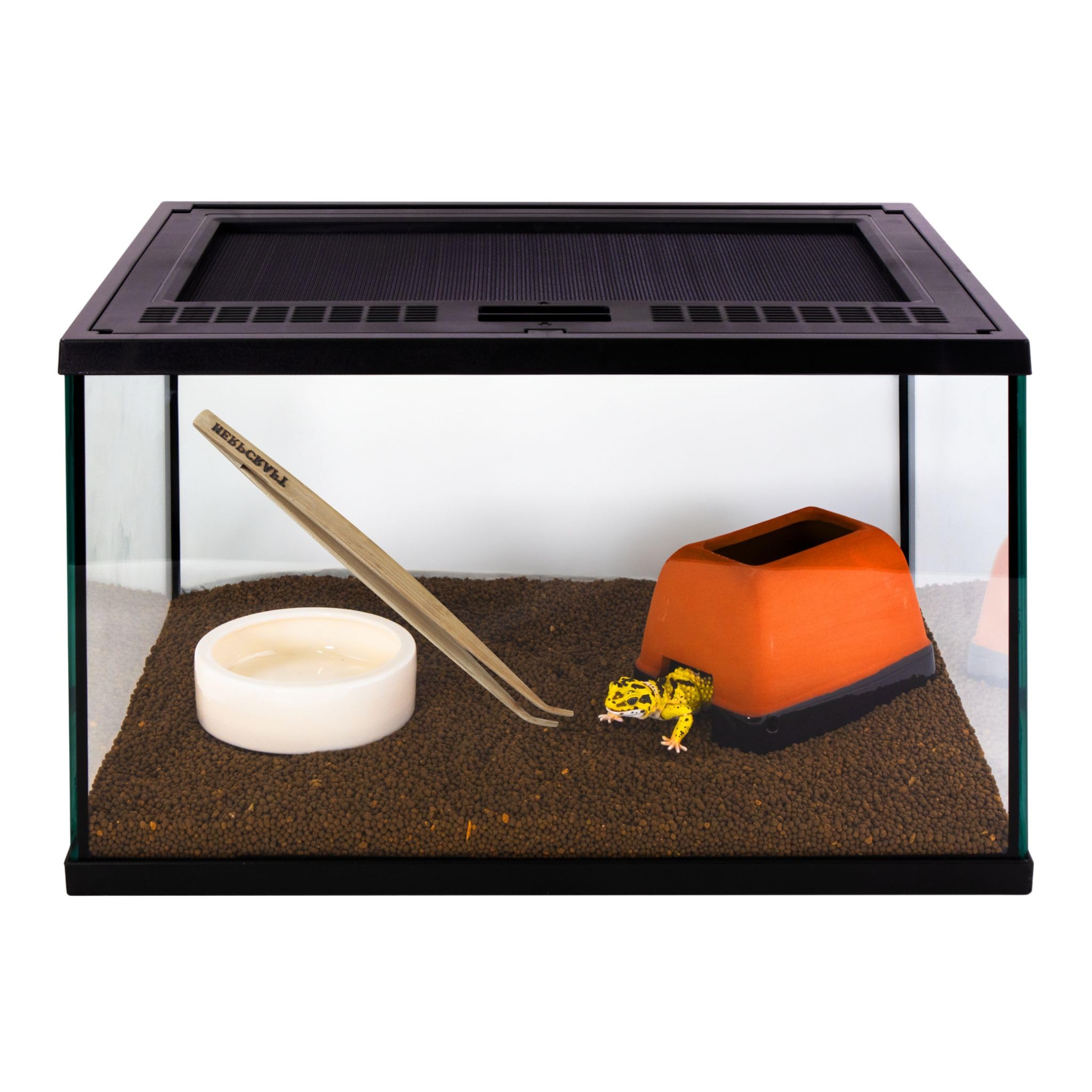 レオパ釿ちゃんさん専用 Amazon | スドー レオパ はじめて お迎え 飼育 セット キット 5点