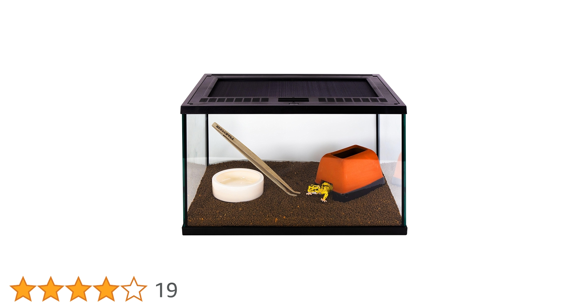 Amazon | スドー レオパ はじめて お迎え 飼育 セット キット 5点