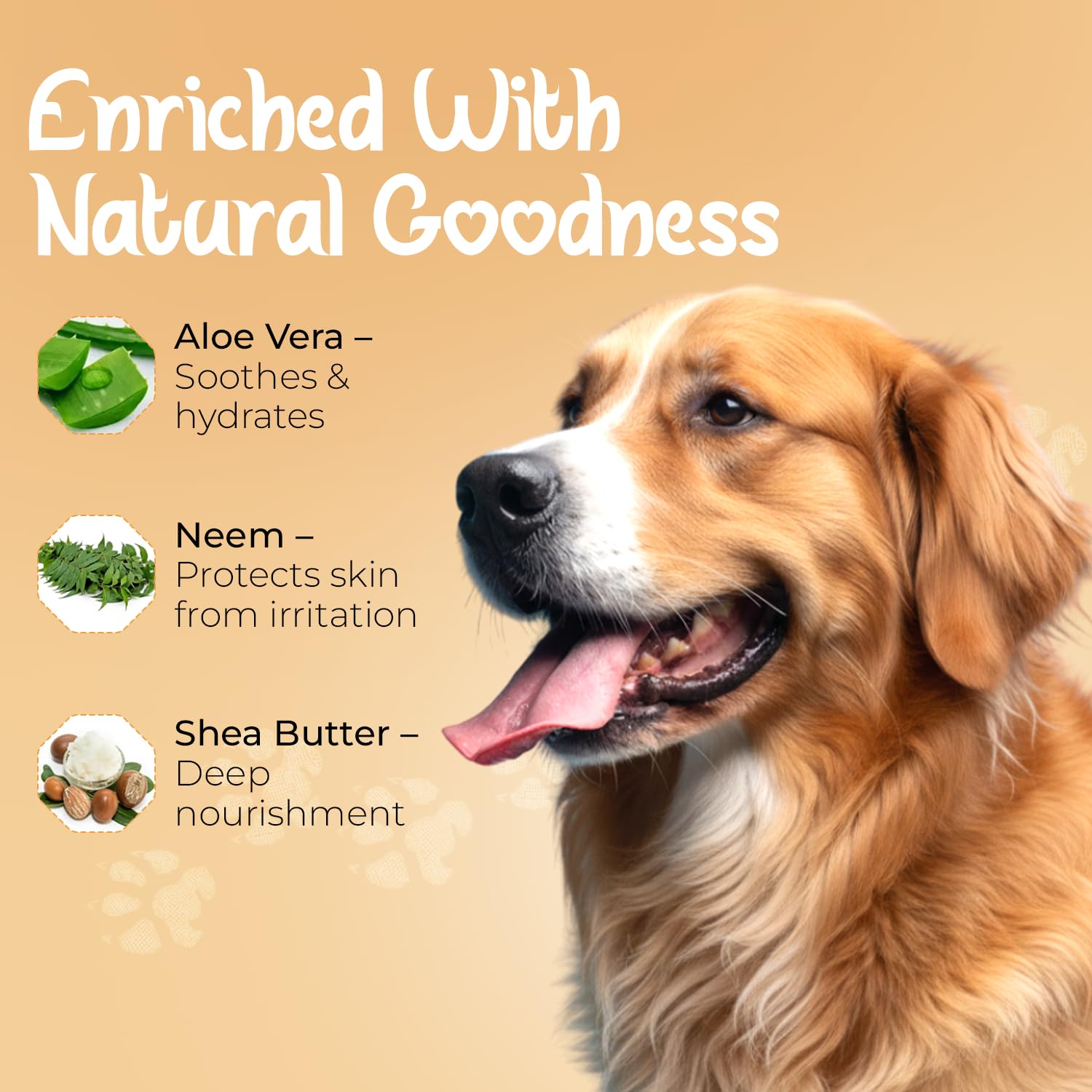 FizzPro Shea Butter 2-in-1 Pet Shampoo + Conditioner for Dogs & Cats 300 ml | Deep Moisturising, Softening & Nourishing Coat Care 1