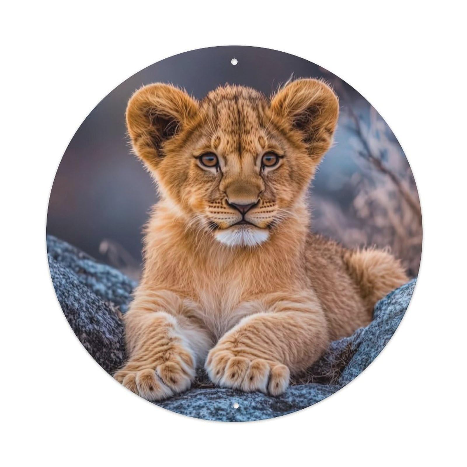 Cwbufd Vintage Style Lion Cub Wildlife Photography African Safari Baby Animal Nature Vintage Metal Tin Sign Plaque Wall Decor For Cafe, Club Bar, Office, Garden Metal Poster 8X8inch
