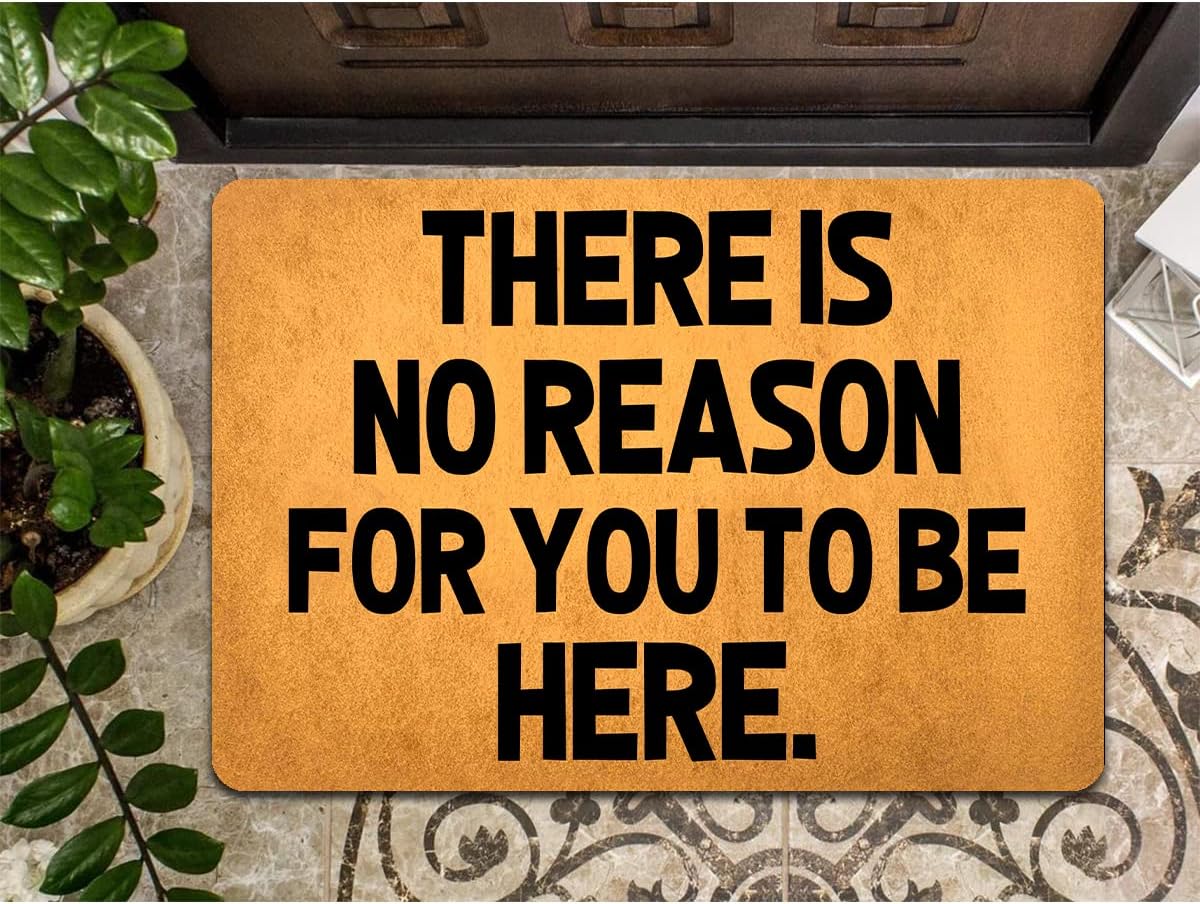 Funny Welcome Doormat For Entry Way Area Decor Mat with Rubber Back 18"(W) x 30"(L)There's No Reason For You To Be Here Doormat for Entrance Way Hello Mats for Front Door No Slip Kitchen Rugs