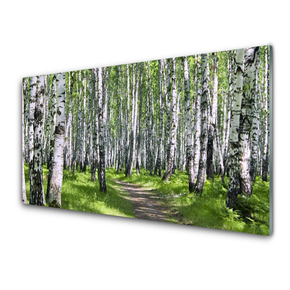 Impression sur verre acrylique nature 100x50cm tableau mural plastique imprimé forêt