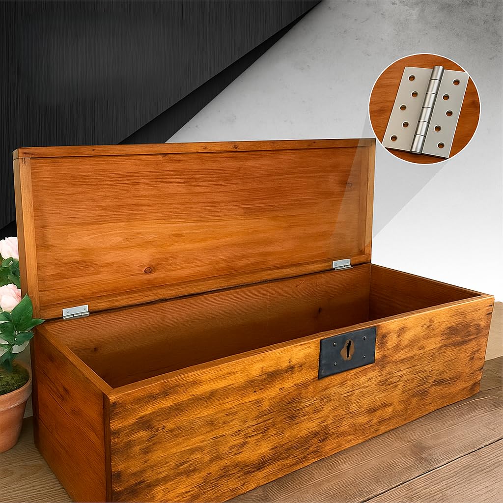 2Pcs Charniere Porte Placard Inox Pour Intérieur Et Extérieur