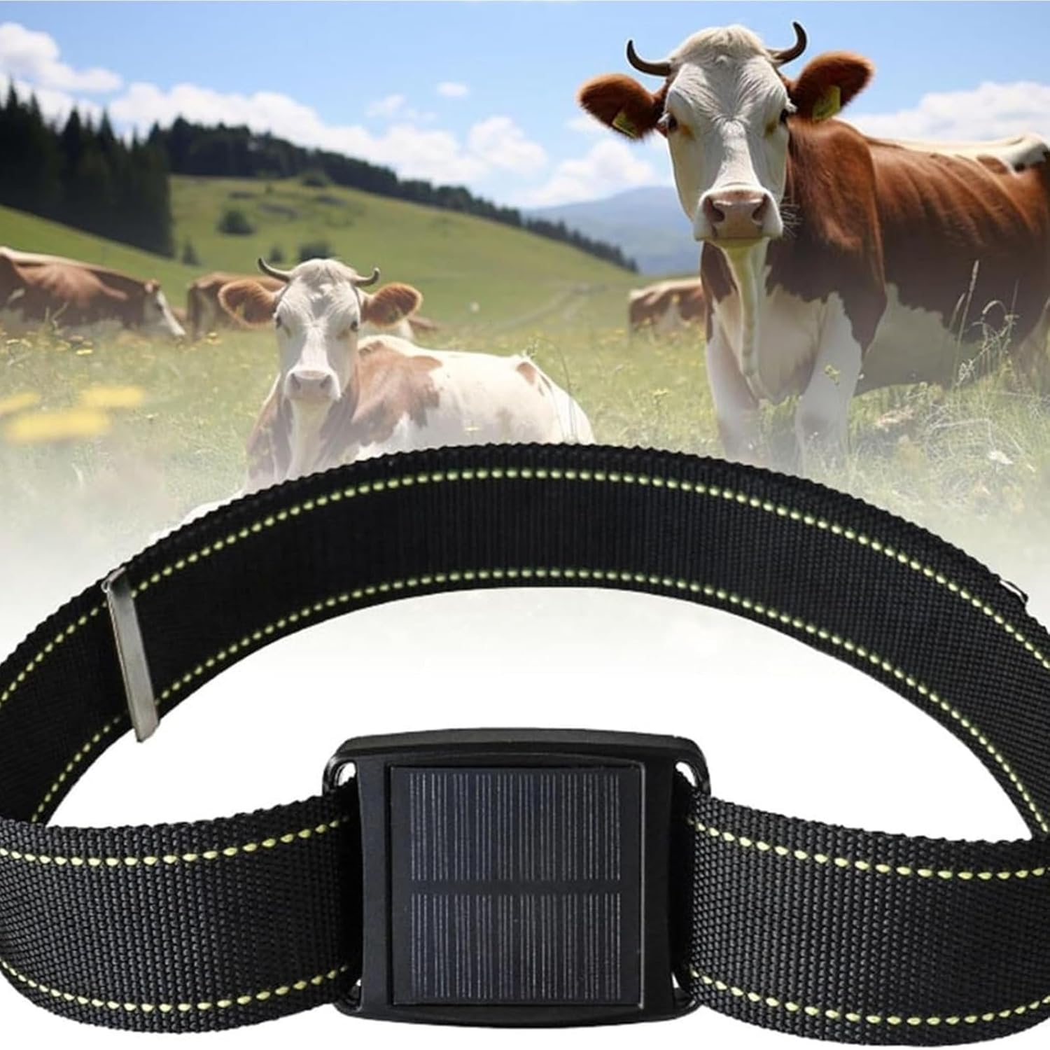 Solar Animal GPS Tracker with Real, Time Positioning, Track Cattle, Horses, Sheep, Camels via App, Waterproof, Historical Route Playback