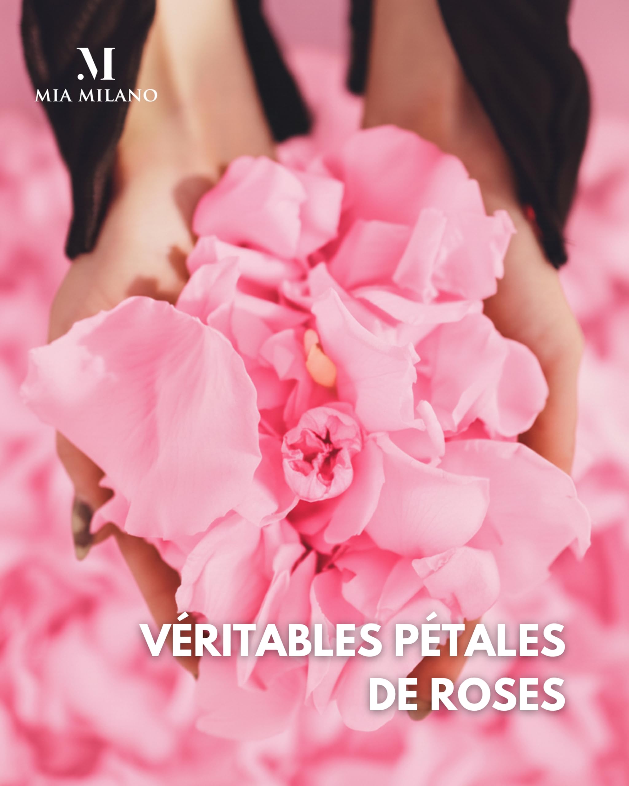 Mia Milano Pétales de Roses séchés Rose I 150 g Véritables pétales de Roses idéales comme décoration de Mariage I Cadeau Saint Valentin I Pétales conservés (3 Ans de Conservation)