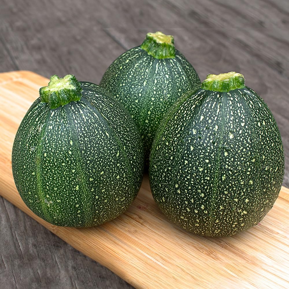 Marrow Zucchino Tondo di Piacenza – Round Bush Courgette Seeds | Early Heavy Cropping Variety with Dark Green Slightly Ribbed Fruits | Heritage Italian Quality