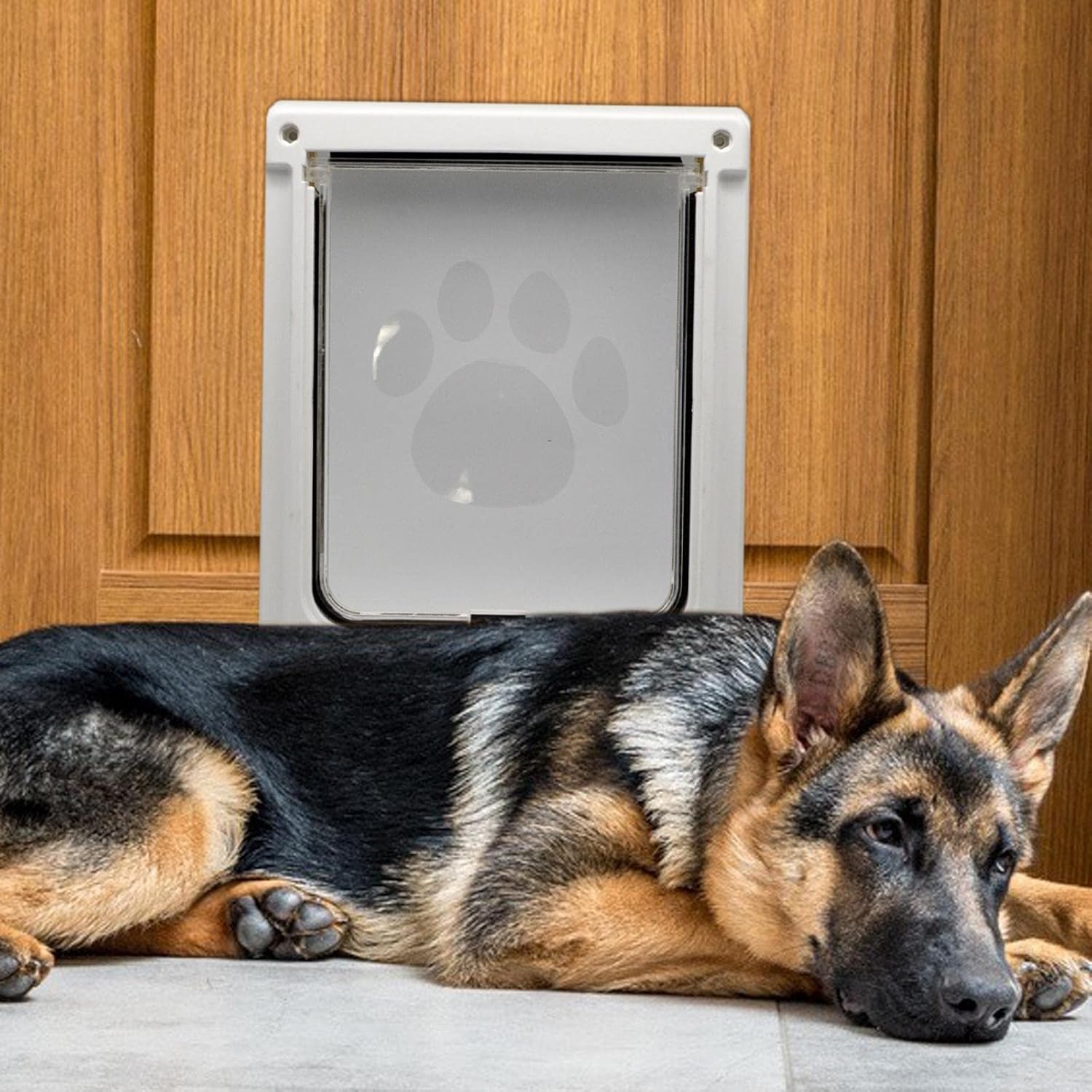 cat and Dog Doors Single Flap Door Lockable to Install Pet Flap Door for Indoor e Outdoor Pet Feeder Cat, 35x29CM