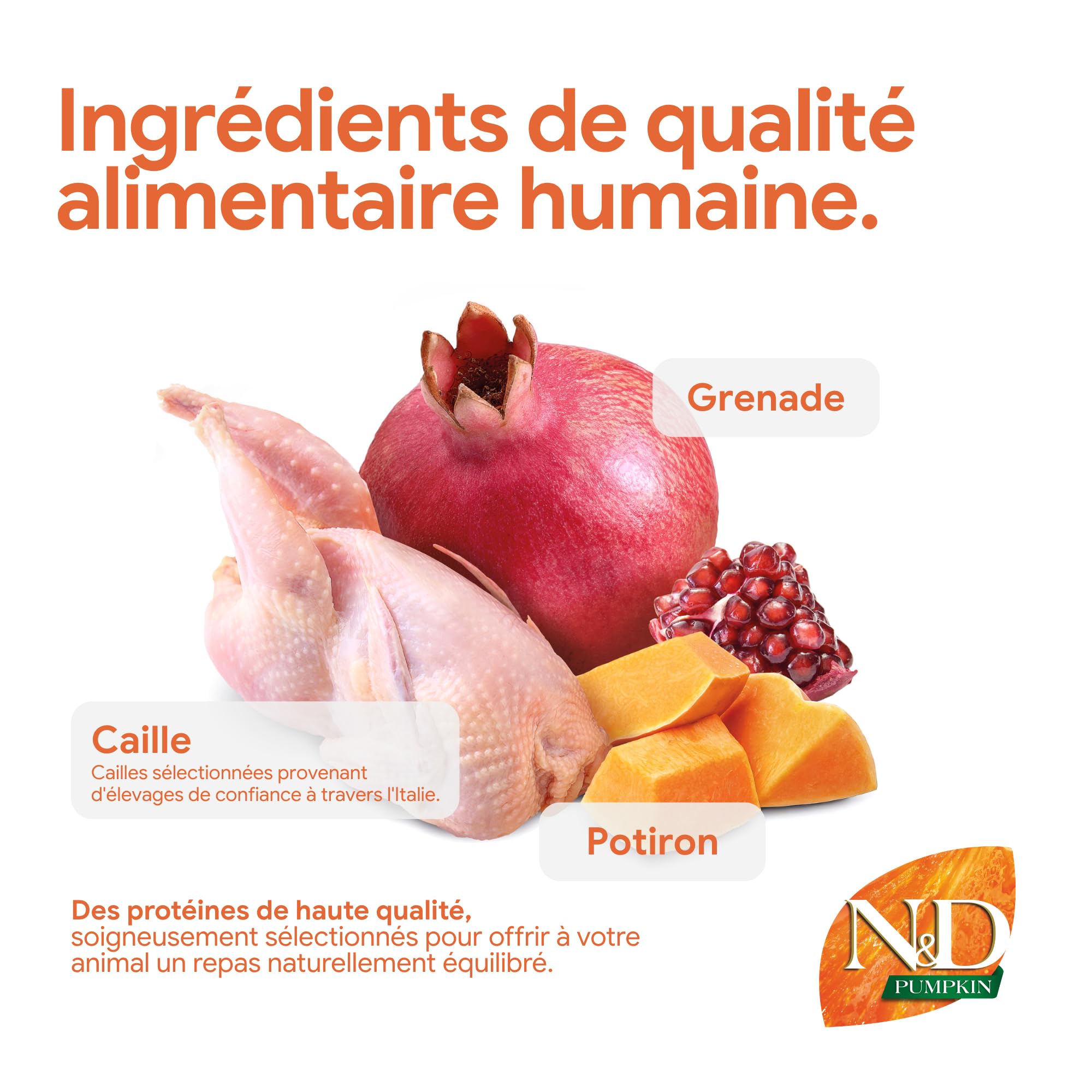 N&D Pumpkin Cat NEUTERED Quail 5 KG