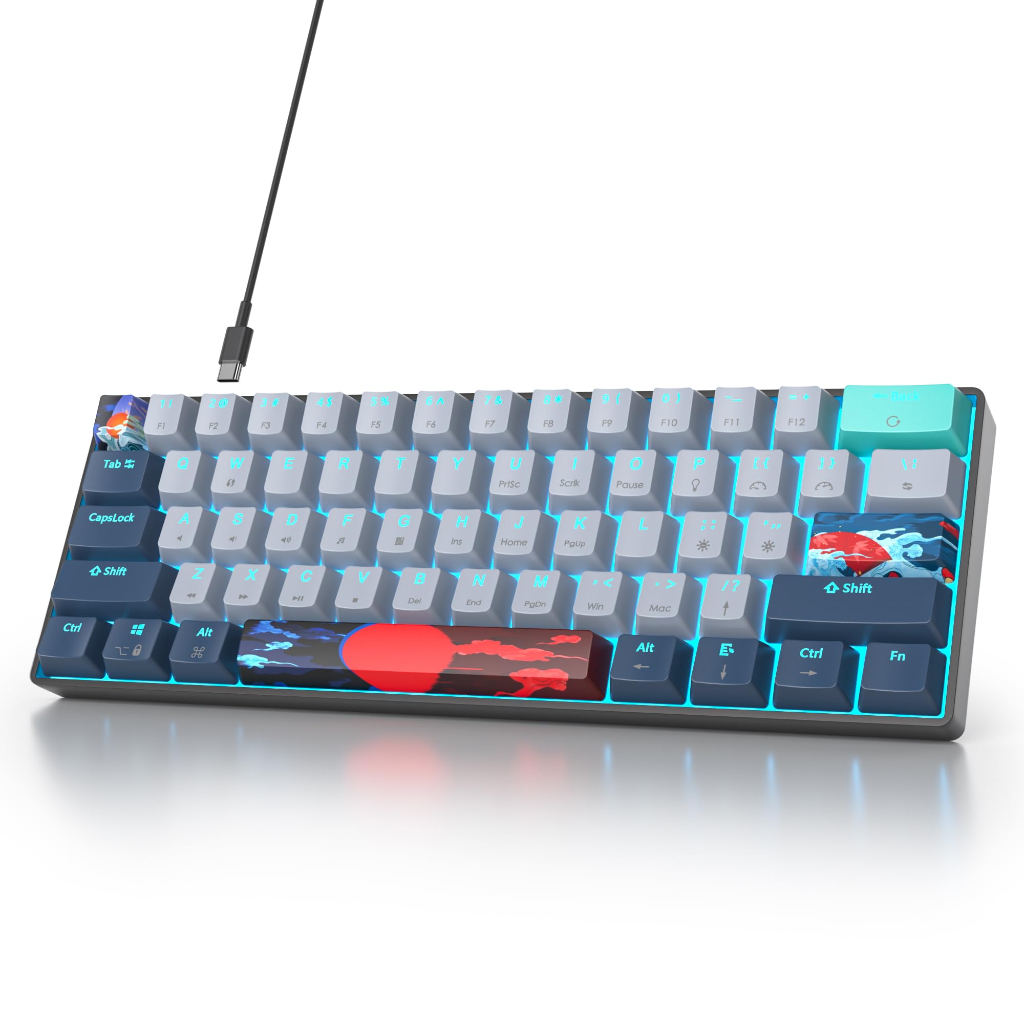 SOLIDEE tastiera da gioco meccanica al 60%,61 tasti con interruttori rossi lineari,Luce blu ghiaccio,tastiera meccanica cablata con retroilluminazione LED,compatta per PS5/PS4/Xbox(61 Shark)