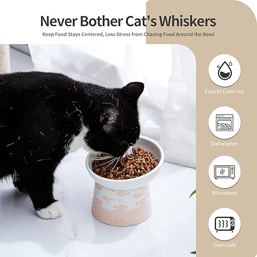 Miniatura 5 de Cuencos de cerámica para comida y agua para gatos, juego de cuencos elevados inclinados para alimentación de gatos, plato de porcelana libre de