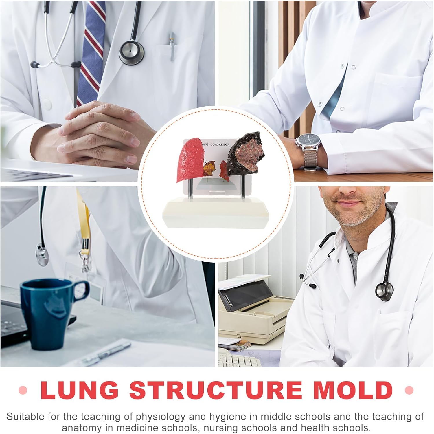 Hemoton Smoking Lung Model and Normal Lung Comparison Pulmonary Anatomy Model for Teaching 7.87X7.08X5.51 Inch Realistic Respiratory Health Education Tool