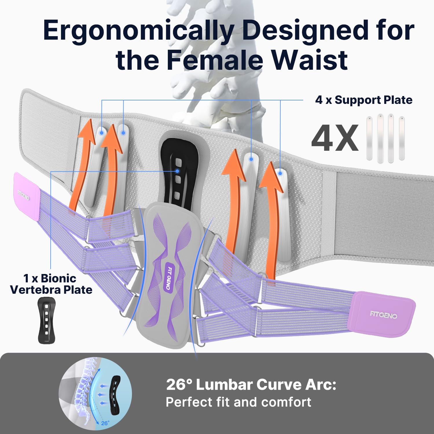 Fit Geno Back Brace for Lower Back Pain Women: Adjustable Lumbar Support Brace for Pain Relief - Breathable Waist Belt for Comfort - XL/2XL/3XL