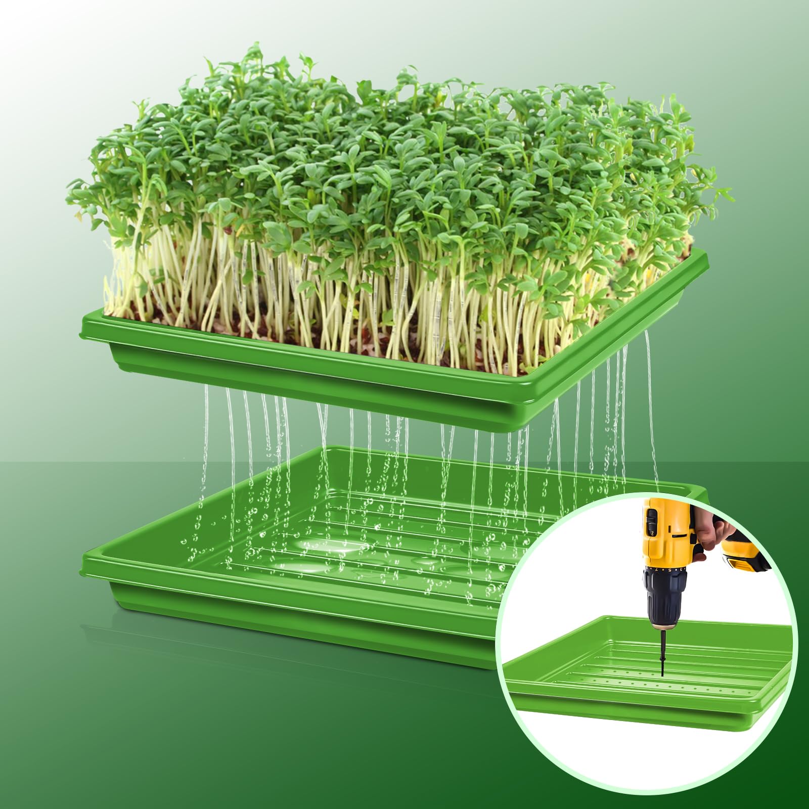 5 Pièces 50 Cellules Plateaux de Semences Plastique Bac à Semis Potager Plateau de Germination