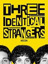 Three Identical Strangers