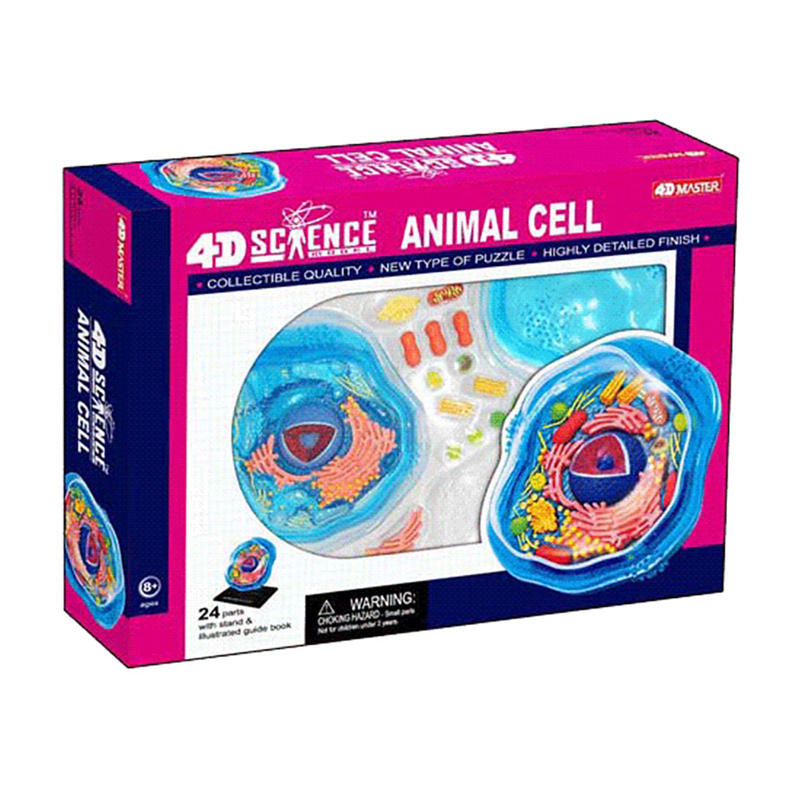 Modello di cellule animali visive 4D, Organelli cellulari di anatomia, struttura di apprendimento della microbiologia per l'educazione scientifica