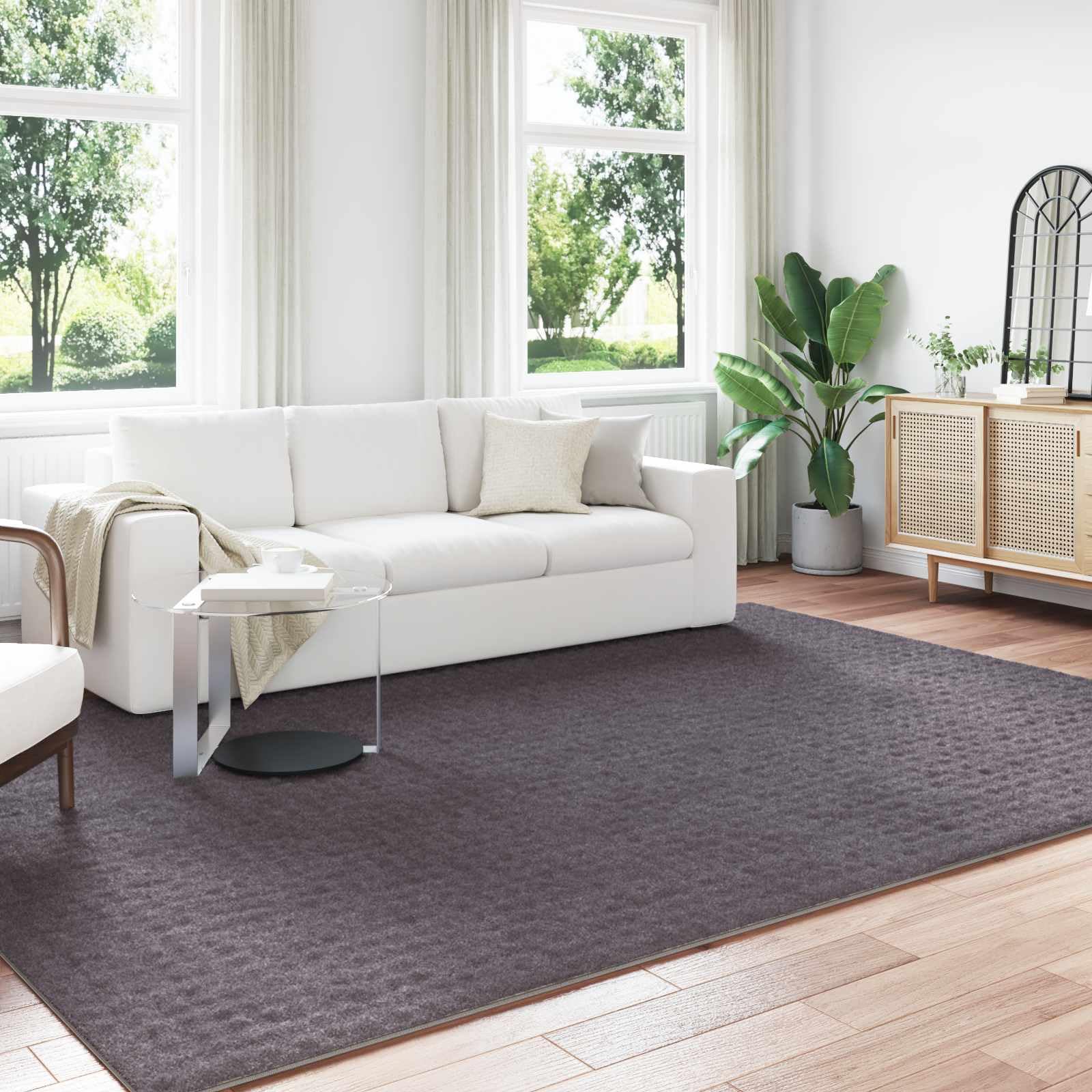 Tapis lavable antidérapant grand salon 340x240cm SIROLO