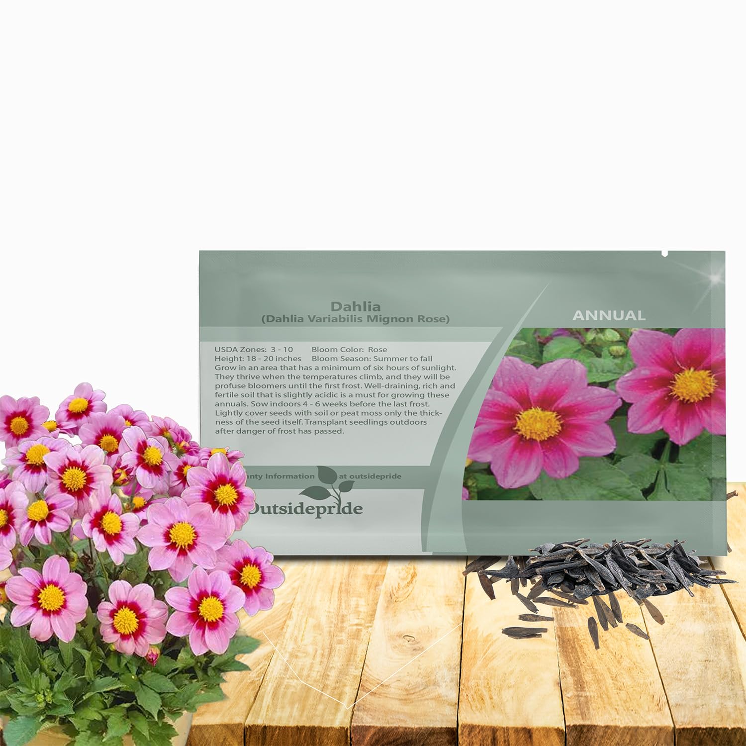 Amazon.com : Outsidepride Mignon Rose Dahlia Seeds for Planting