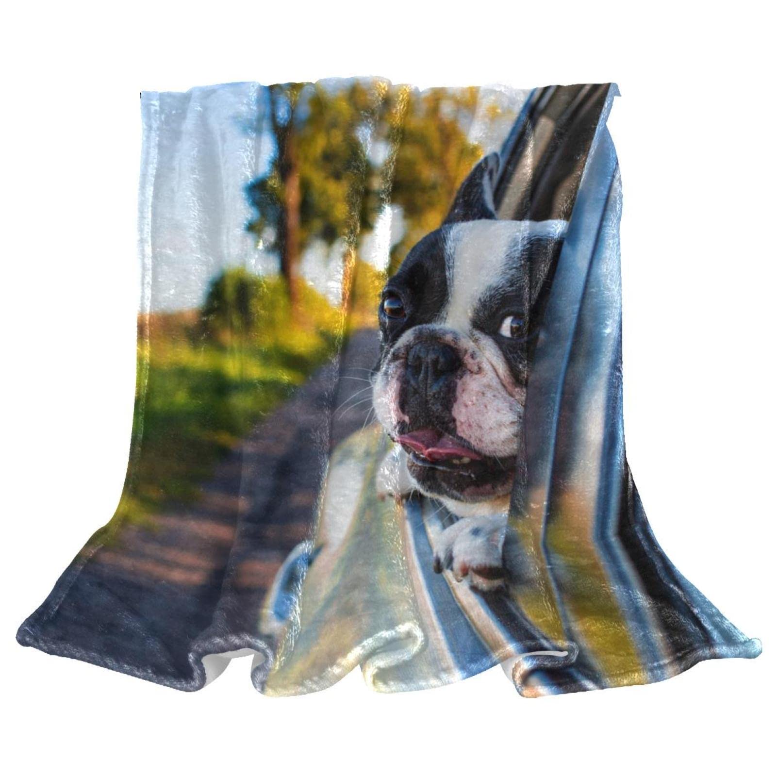 Couverture de sieste douce motif chien pour moments cocooning au salon