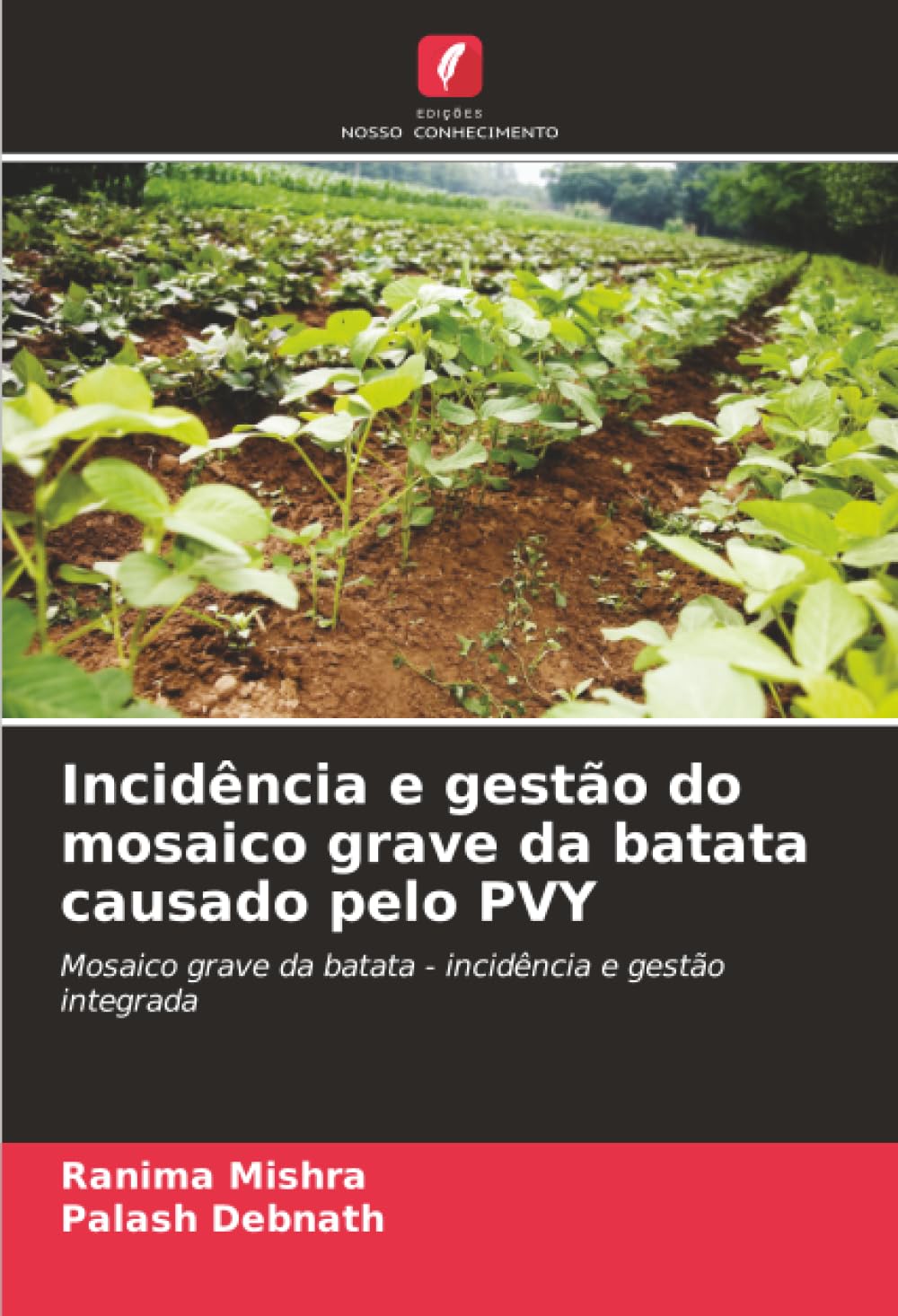 Incidência e gestão do mosaico grave da batata causado pelo PVY: Mosaico grave da batata - incidência e gestão integrada
