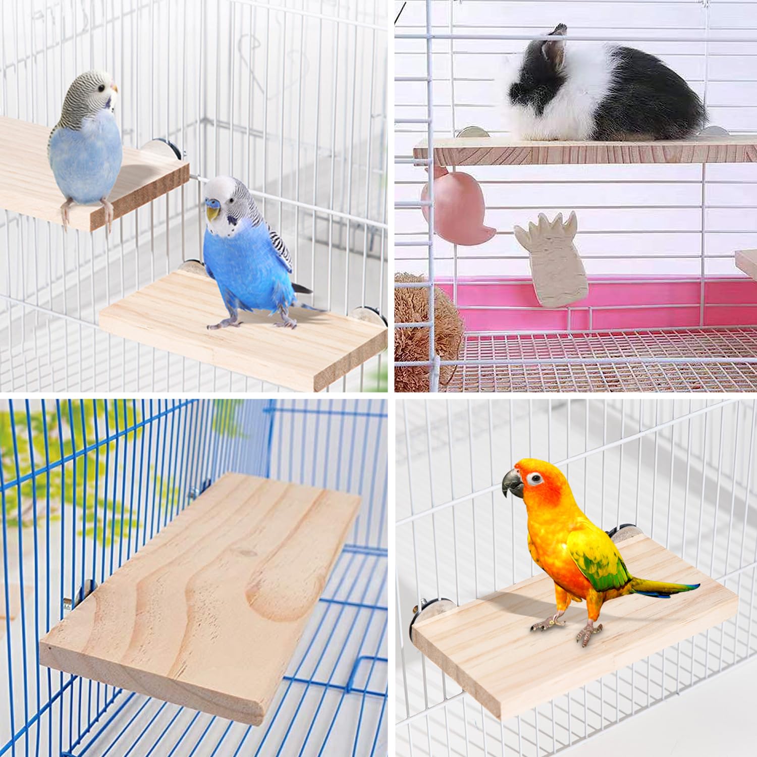 4 Pezzi Piattaformas per Posatoio per Uccelli Piattaforma della Gabbia per Criceti Pappagallo Piattaforma Quadrata per Pappagallo Criceto Scoiattolo Cockatiel Animali Domestici