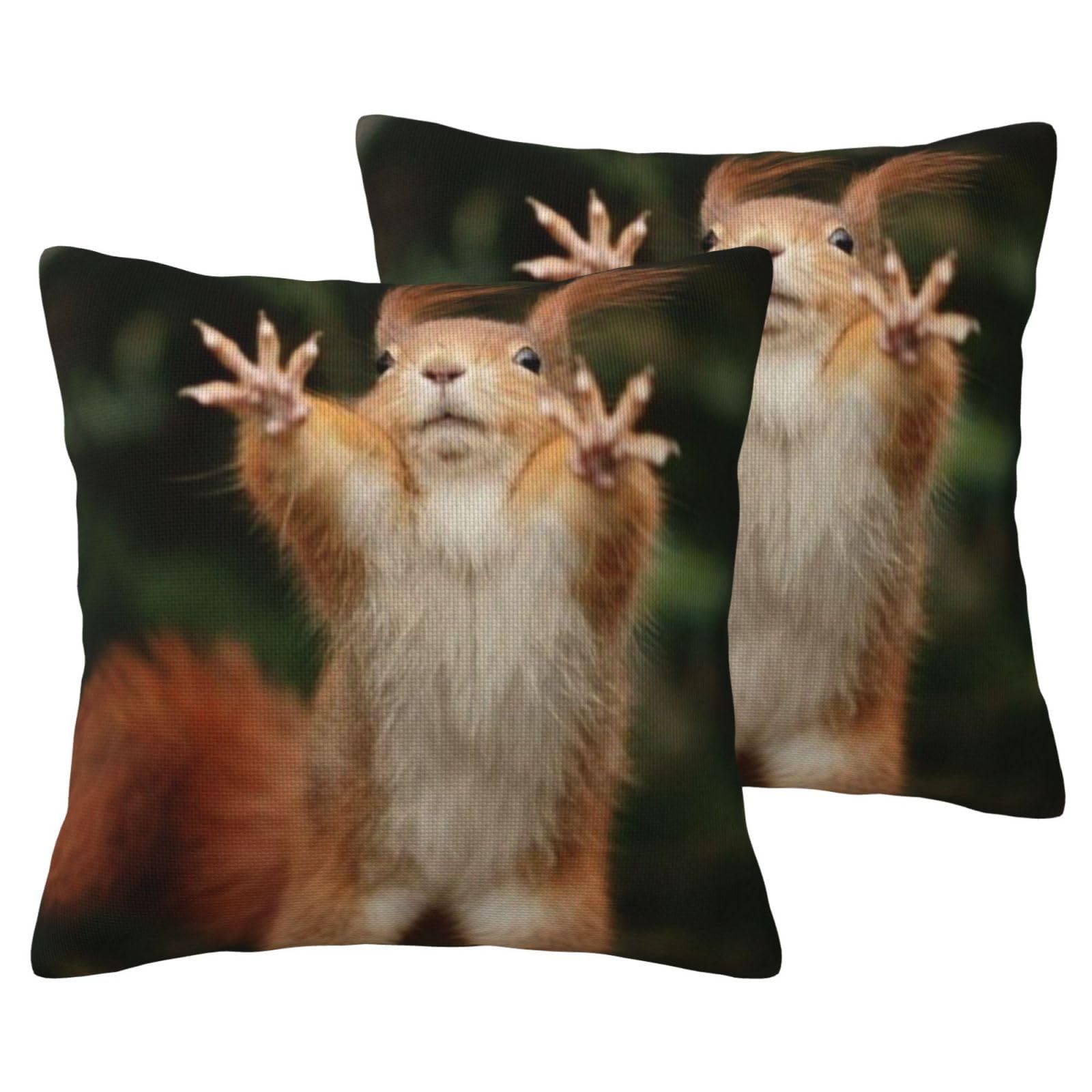Housse de coussin écureuil en imitation lin pour salon lot de 2