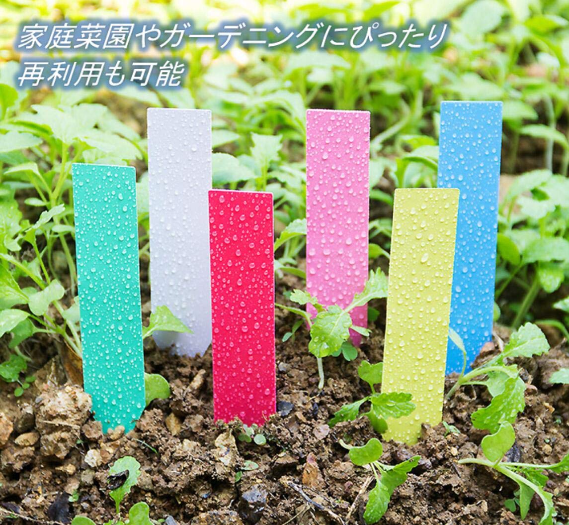 Amazon.co.jp: 園芸用 立型 ラベル 6色 大量600枚入り (赤 黄 青 緑 白