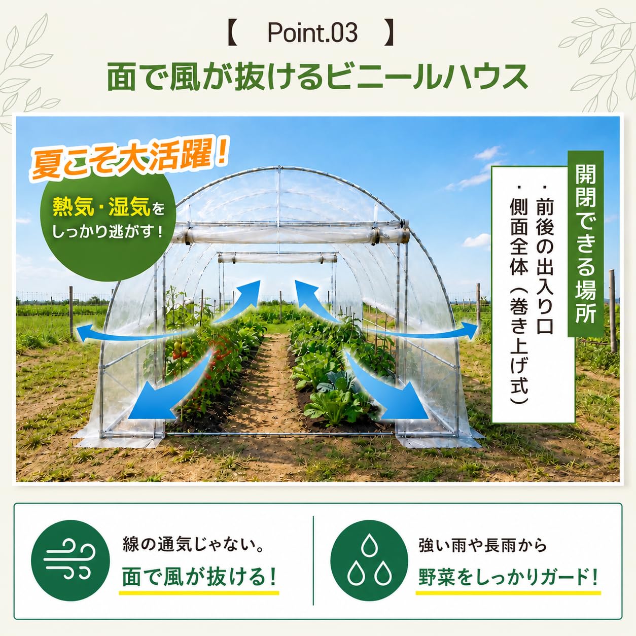 Amazon.co.jp: Machuel 322 ビニールハウス 3m 【2026年進化モデル