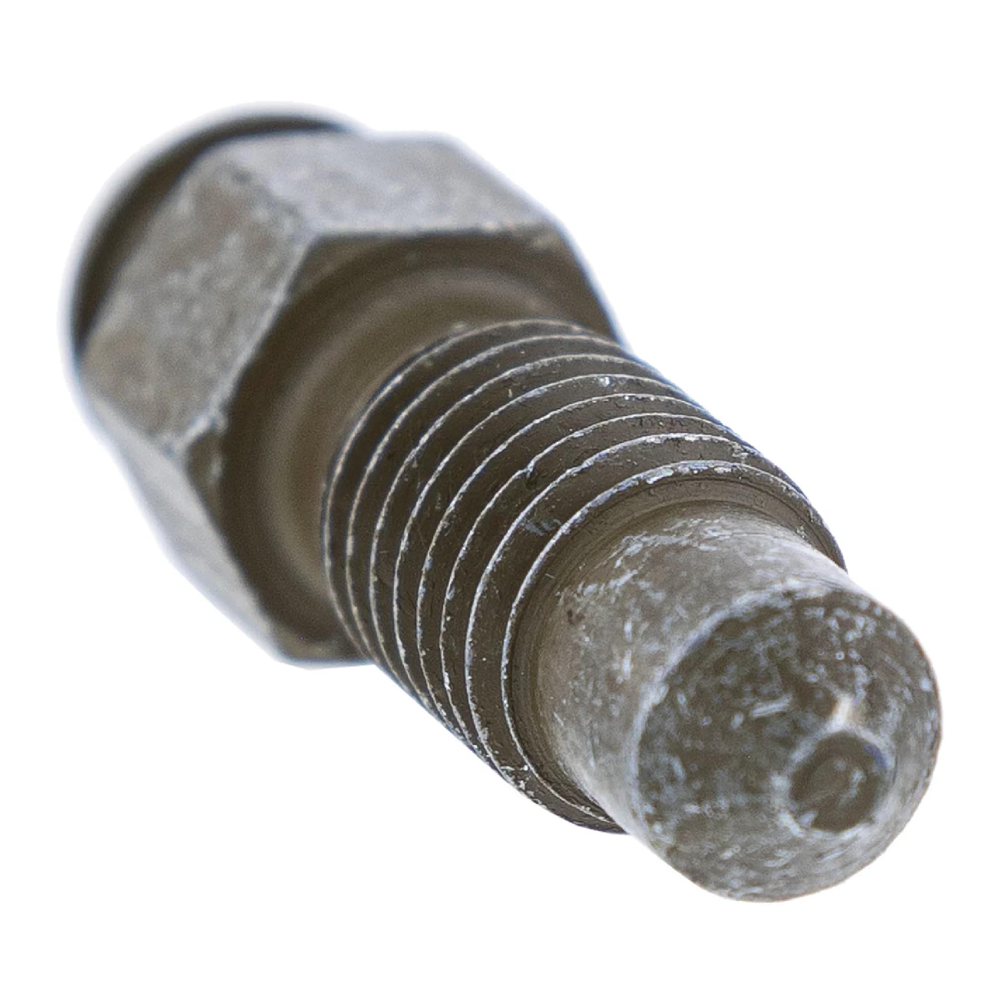 Amazon.com: Polaris Bleeder Screw 2006-2024 Sportsman Scrambler