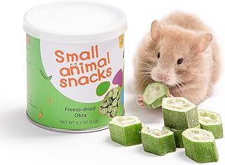 Niteangel Hamster Snack & Treats Toy - Small Animal Natural 