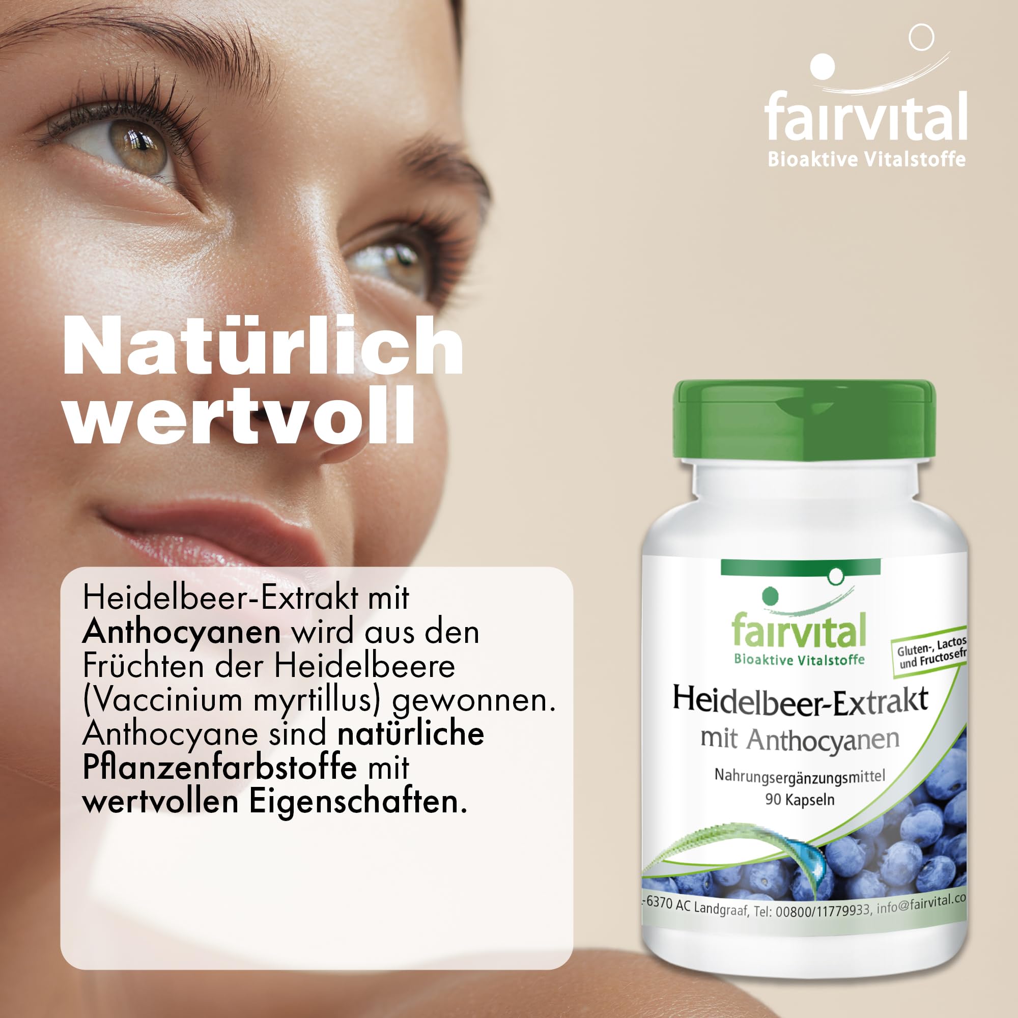 fairvital Heidelbeer-Extrakt mit Anthocyanen, 90 Kapseln, HOCHDOSIERT, 25% Anthocyane, VEGAN