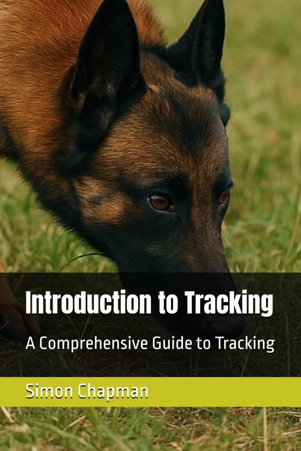 Introduction to Tracking: A Comprehensive Guide to Tracking