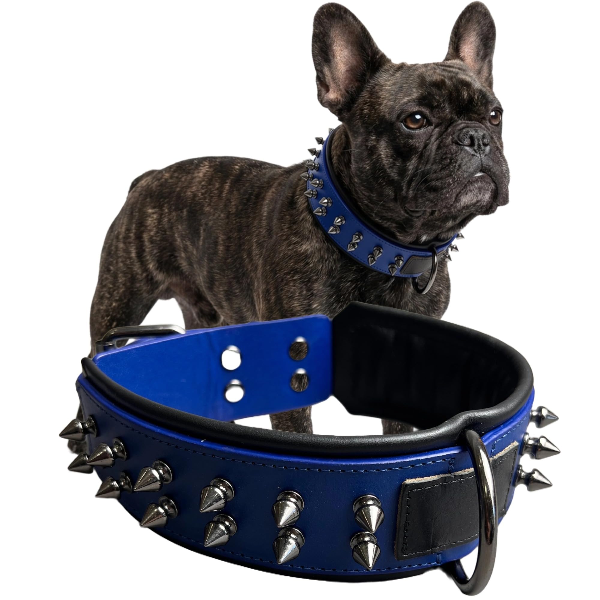 Molteriqo Leather Spike Dog Collar