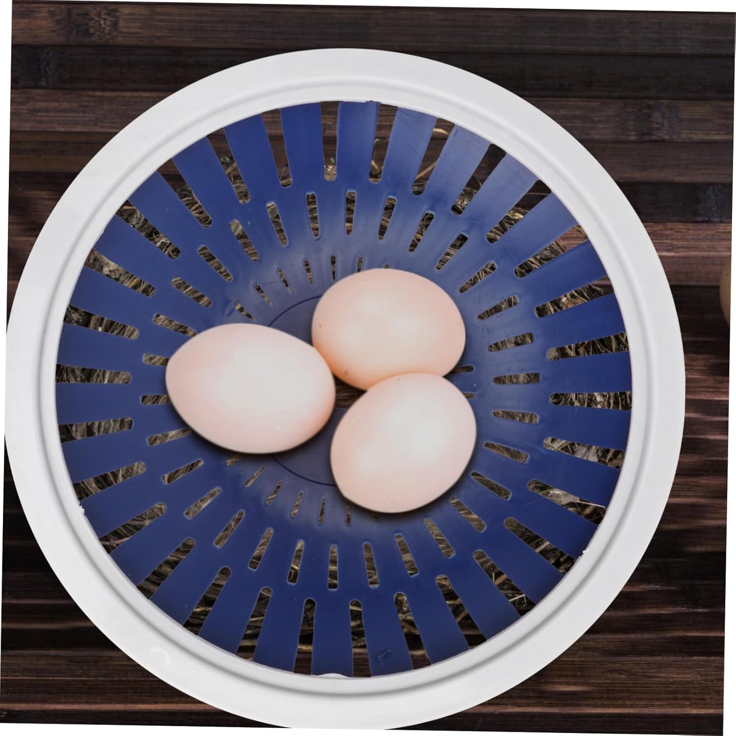 10pcs Pet Nest Bird Breeding House for Pigeons and Quails Lightweight Design for Bird Supplies and Breeding Accessories White