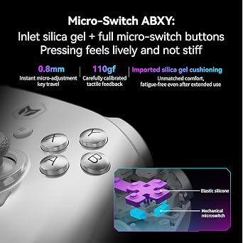 BIGBIG WON Rainbow 3 Wireless PC Gaming Controller Capacitive Joystick 2000Hz Polling Rate 16 Mechanical Keys 14 Custom RGB Lights 6-Axis Gyro Sensor Hall/Micro-switch Trigger 3.5mm Audio Jack Gamepad for PC/Switch2/iOS/Android