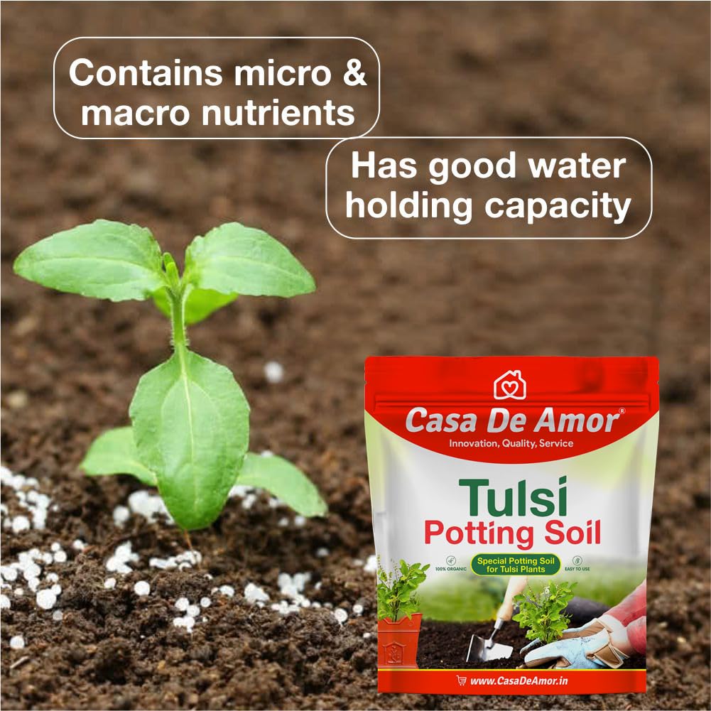 Casa De Amor Tulsi Potting Soil - Organic & Healthy -3 Casa De Amor Tulsi Potting Soil - Organic & Healthy -3